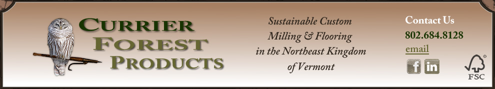 currier forest products
