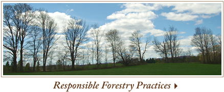 currier forest products green