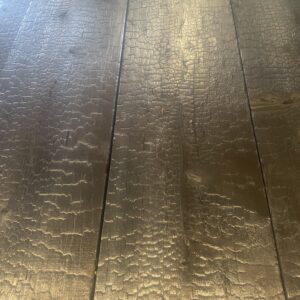 Charred Wood Samples